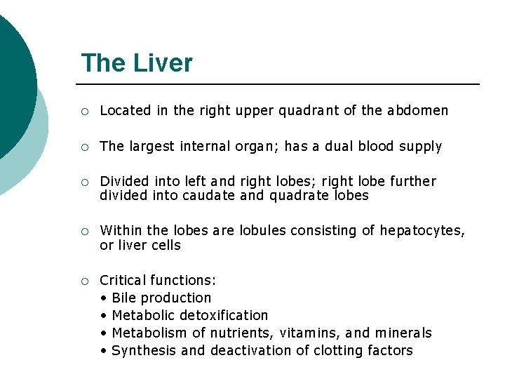 The Liver ¡ Located in the right upper quadrant of the abdomen ¡ The