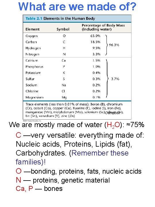 What are we made of? Campbell We are mostly made of water (H 2