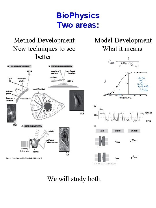 Bio. Physics Two areas: Method Development New techniques to see better. Model Development What