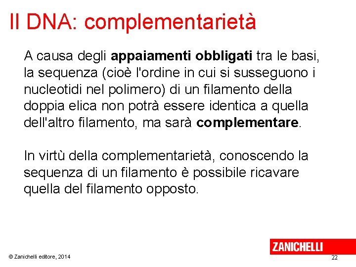 Il DNA: complementarietà A causa degli appaiamenti obbligati tra le basi, la sequenza (cioè