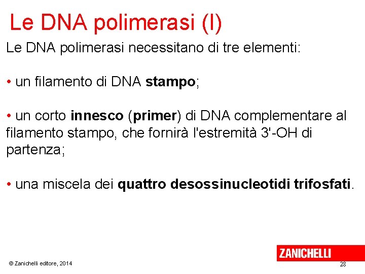 Le DNA polimerasi (I) Le DNA polimerasi necessitano di tre elementi: • un filamento