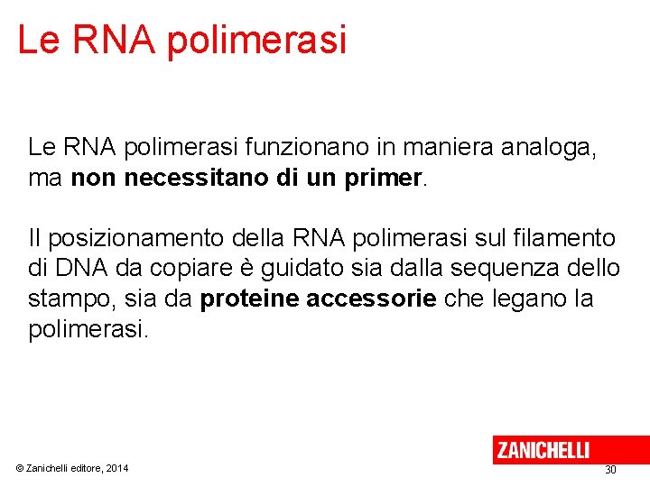 Le RNA polimerasi funzionano in maniera analoga, ma non necessitano di un primer. Il