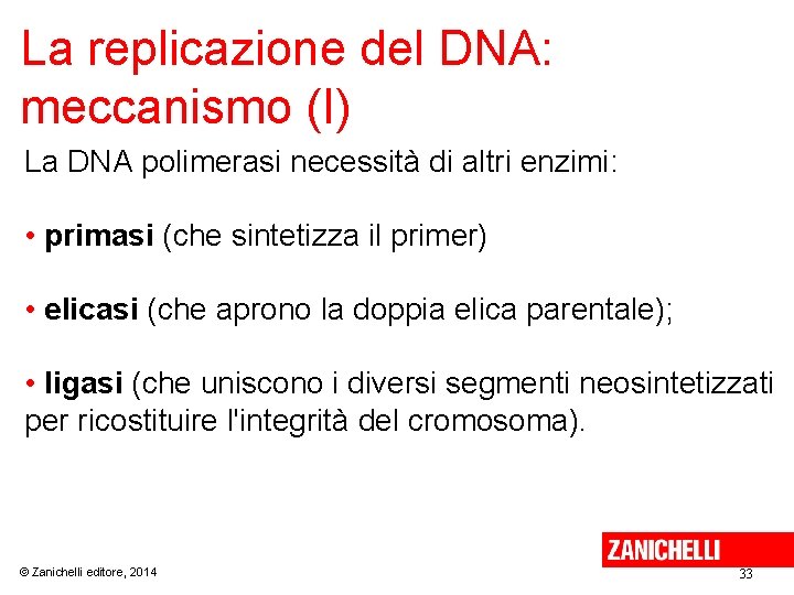 La replicazione del DNA: meccanismo (I) La DNA polimerasi necessità di altri enzimi: •