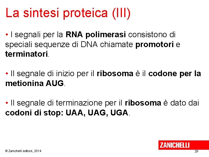 La sintesi proteica (III) • I segnali per la RNA polimerasi consistono di speciali