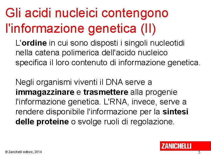 Gli acidi nucleici contengono l'informazione genetica (II) L'ordine in cui sono disposti i singoli