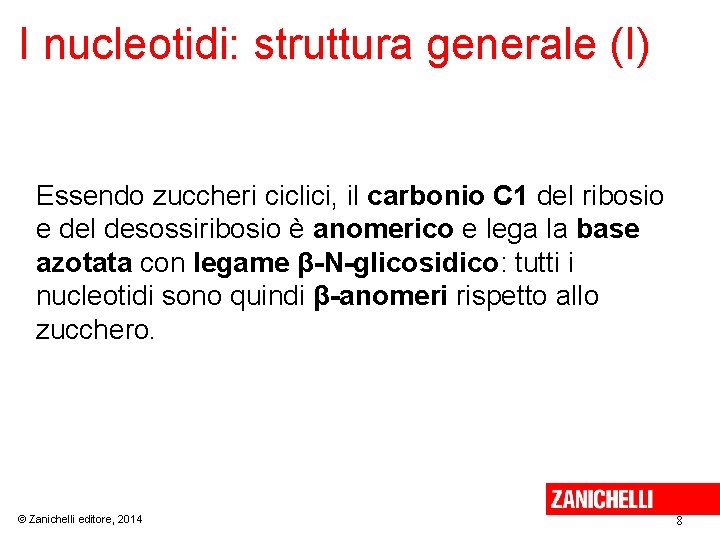 I nucleotidi: struttura generale (I) Essendo zuccheri ciclici, il carbonio C 1 del ribosio