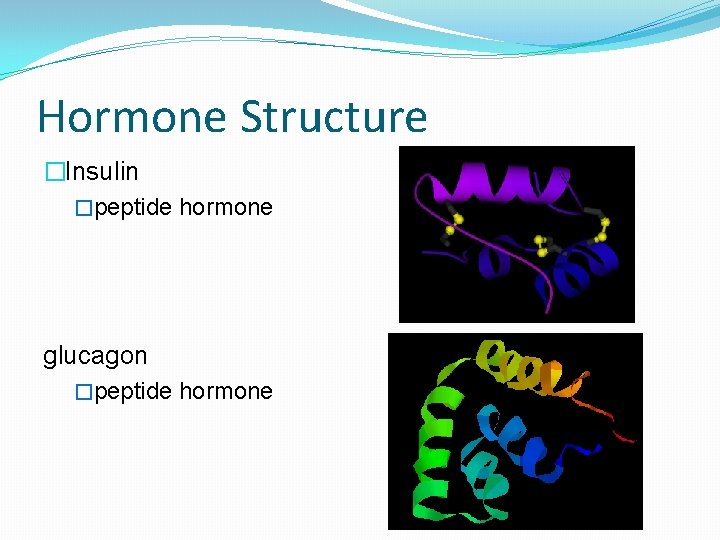 Hormone Structure �Insulin �peptide hormone glucagon �peptide hormone 