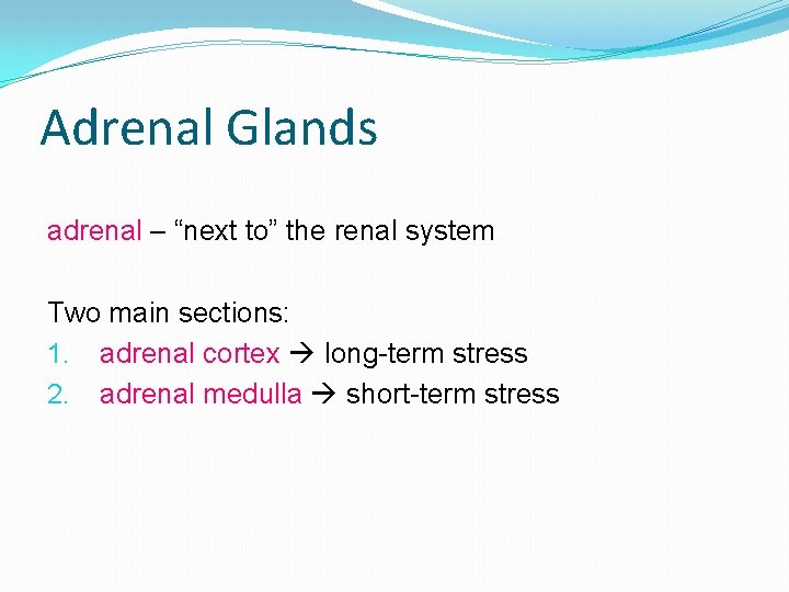 Adrenal Glands adrenal – “next to” the renal system Two main sections: 1. adrenal