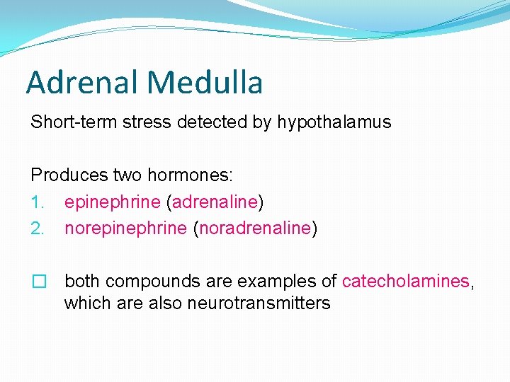 Adrenal Medulla Short-term stress detected by hypothalamus Produces two hormones: 1. epinephrine (adrenaline) 2.