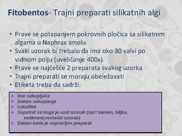 Fitobentos- Trajni preparati silikatnih algi • Prave se potapanjem pokrovnih pločica sa silikatnim algama