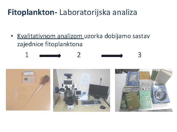 Fitoplankton- Laboratorijska analiza • Kvalitativnom analizom uzorka dobijamo sastav zajednice fitoplanktona 1 2 3