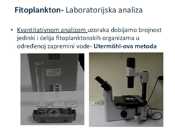 Fitoplankton- Laboratorijska analiza • Kvantitativnom analizom uzoraka dobijamo brojnost jedinki i ćelija fitoplanktonskih organizama