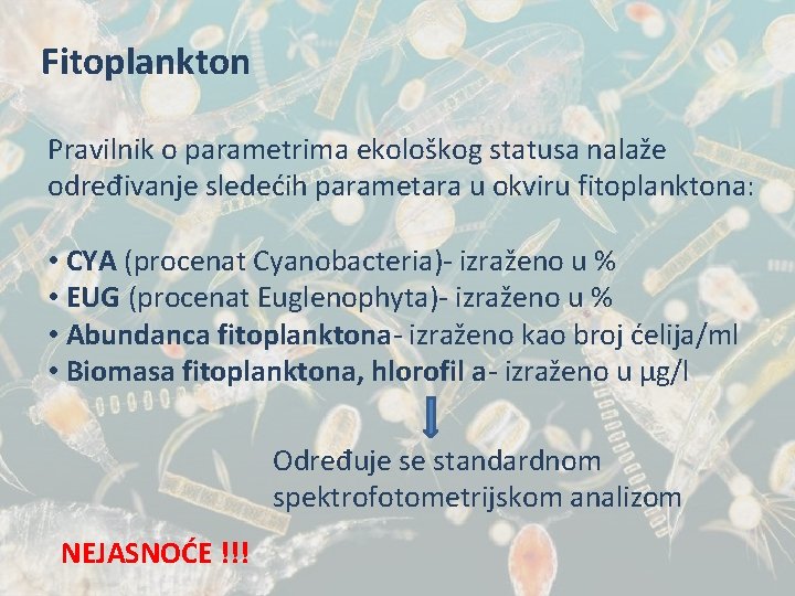 Fitoplankton Pravilnik o parametrima ekološkog statusa nalaže određivanje sledećih parametara u okviru fitoplanktona: •