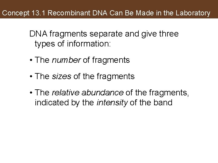 Concept 13. 1 Recombinant DNA Can Be Made in the Laboratory DNA fragments separate
