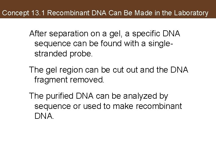 Concept 13. 1 Recombinant DNA Can Be Made in the Laboratory After separation on