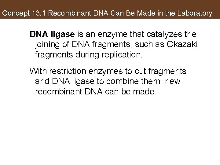Concept 13. 1 Recombinant DNA Can Be Made in the Laboratory DNA ligase is