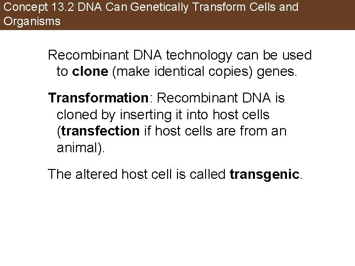 Concept 13. 2 DNA Can Genetically Transform Cells and Organisms Recombinant DNA technology can