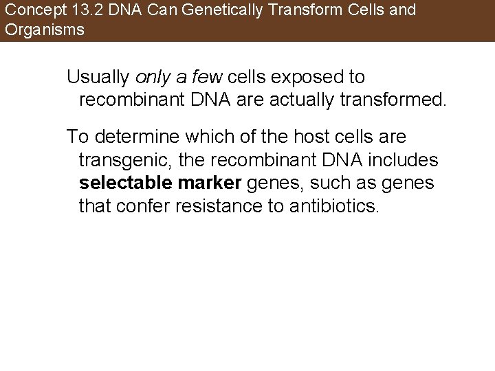 Concept 13. 2 DNA Can Genetically Transform Cells and Organisms Usually only a few