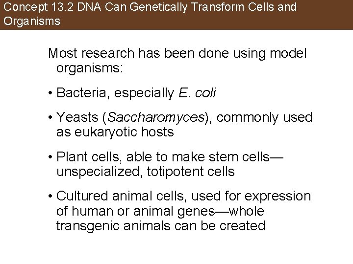 Concept 13. 2 DNA Can Genetically Transform Cells and Organisms Most research has been