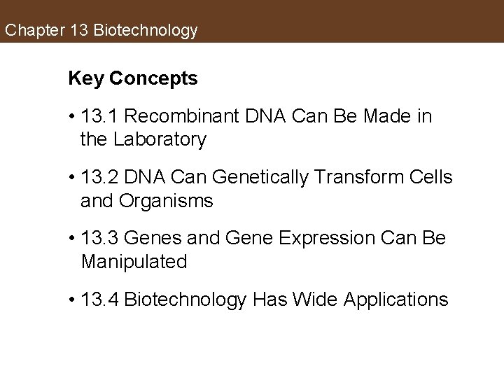 Chapter 13 Biotechnology Key Concepts • 13. 1 Recombinant DNA Can Be Made in