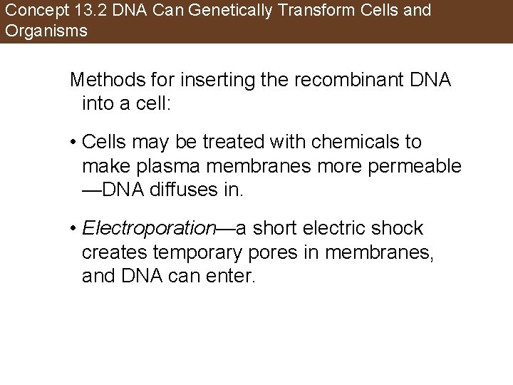 Concept 13. 2 DNA Can Genetically Transform Cells and Organisms Methods for inserting the