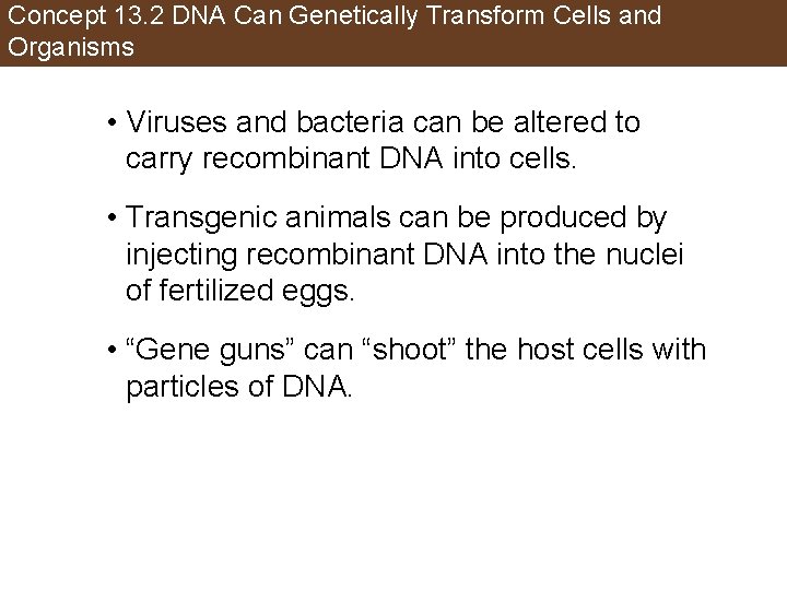 Concept 13. 2 DNA Can Genetically Transform Cells and Organisms • Viruses and bacteria