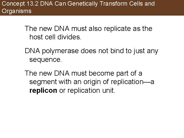 Concept 13. 2 DNA Can Genetically Transform Cells and Organisms The new DNA must