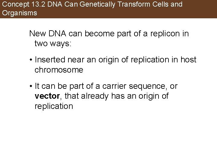 Concept 13. 2 DNA Can Genetically Transform Cells and Organisms New DNA can become