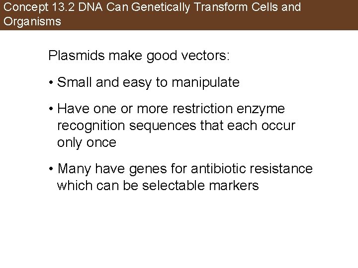 Concept 13. 2 DNA Can Genetically Transform Cells and Organisms Plasmids make good vectors: