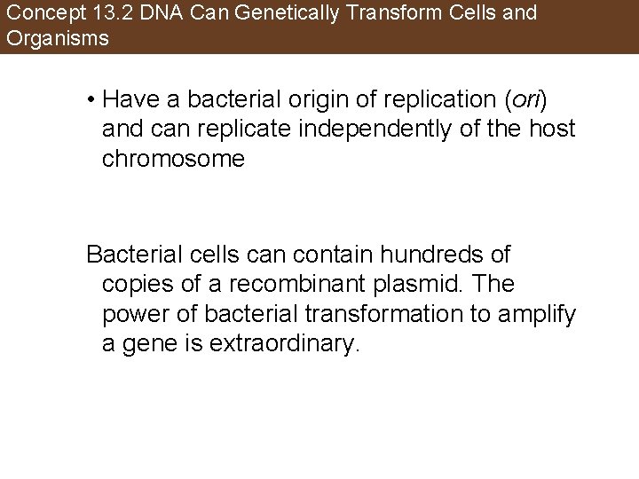 Concept 13. 2 DNA Can Genetically Transform Cells and Organisms • Have a bacterial