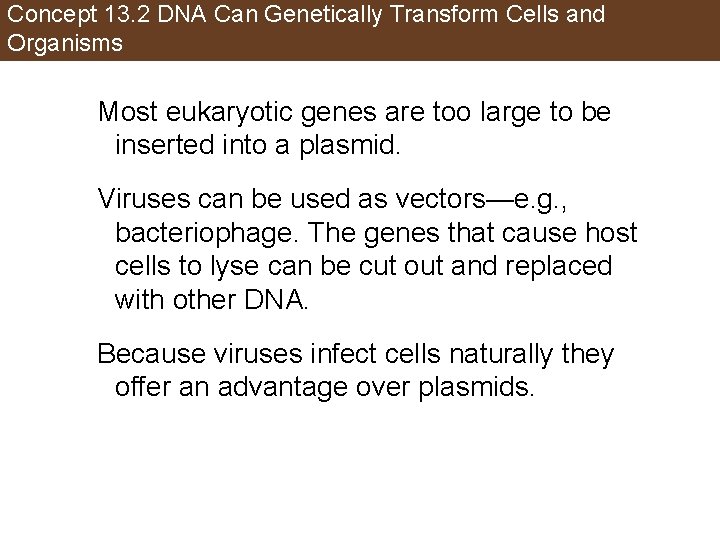 Concept 13. 2 DNA Can Genetically Transform Cells and Organisms Most eukaryotic genes are