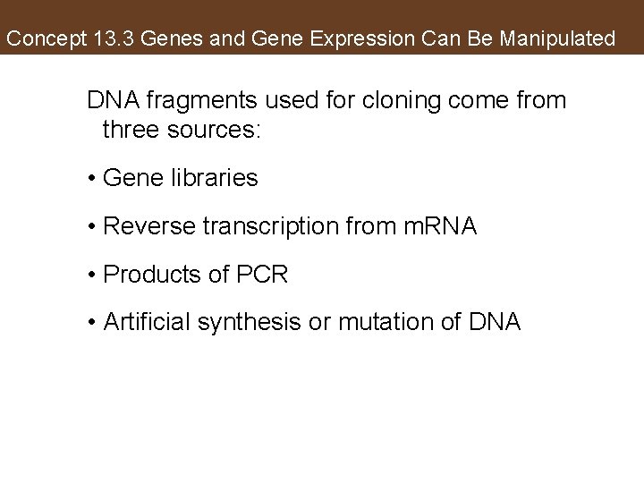 Concept 13. 3 Genes and Gene Expression Can Be Manipulated DNA fragments used for