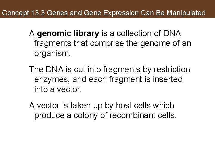 Concept 13. 3 Genes and Gene Expression Can Be Manipulated A genomic library is