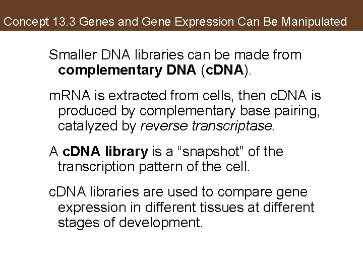 Concept 13. 3 Genes and Gene Expression Can Be Manipulated Smaller DNA libraries can