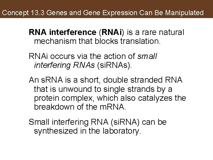 Concept 13. 3 Genes and Gene Expression Can Be Manipulated RNA interference (RNAi) is