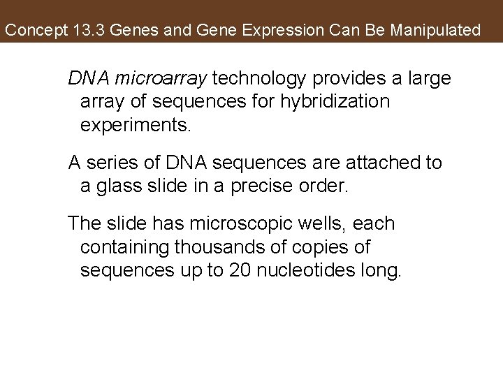 Concept 13. 3 Genes and Gene Expression Can Be Manipulated DNA microarray technology provides