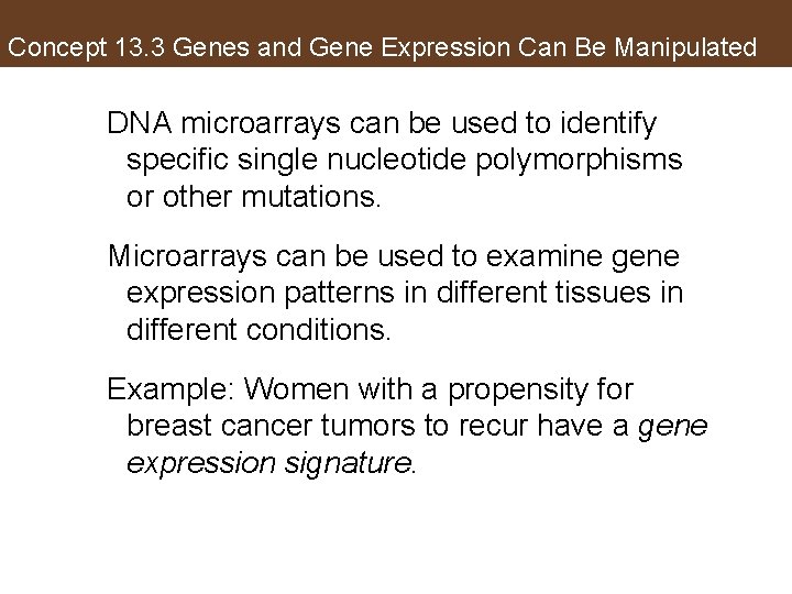 Concept 13. 3 Genes and Gene Expression Can Be Manipulated DNA microarrays can be