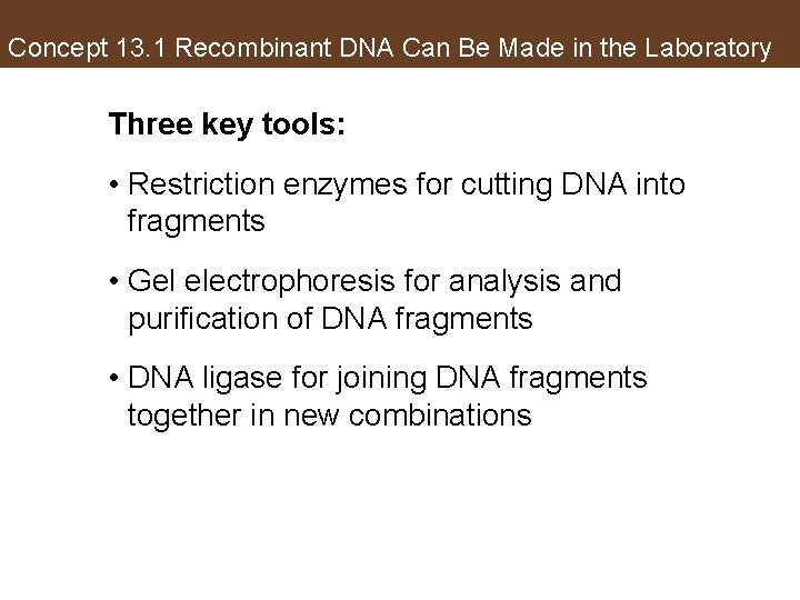 Concept 13. 1 Recombinant DNA Can Be Made in the Laboratory Three key tools: