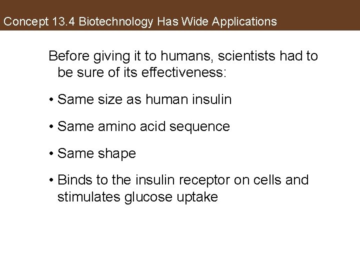 Concept 13. 4 Biotechnology Has Wide Applications Before giving it to humans, scientists had