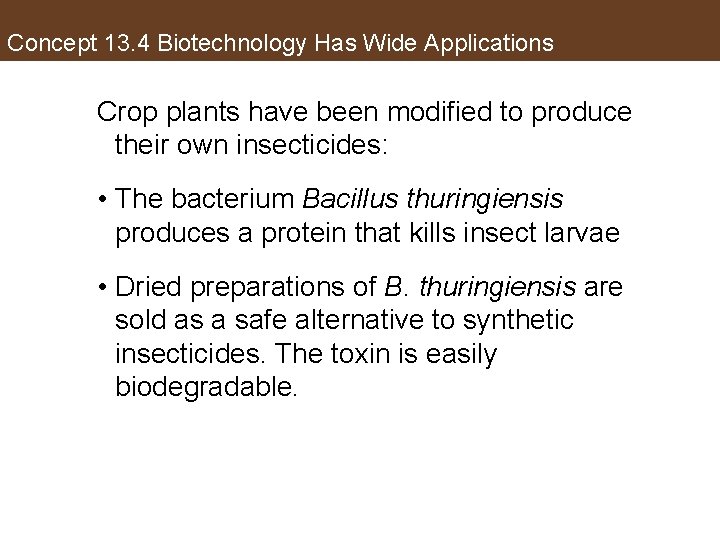 Concept 13. 4 Biotechnology Has Wide Applications Crop plants have been modified to produce