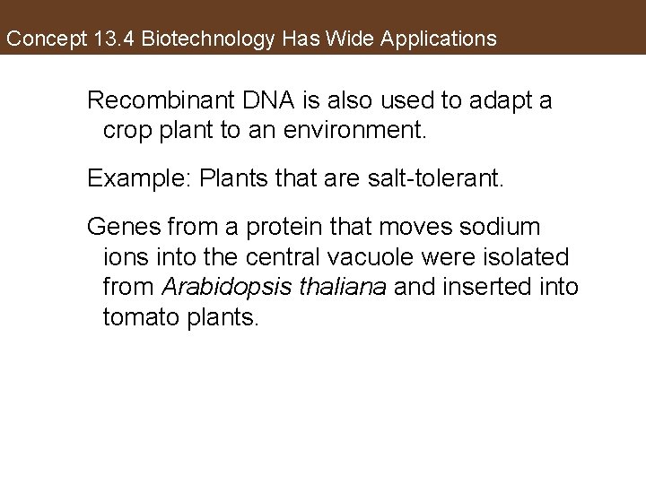 Concept 13. 4 Biotechnology Has Wide Applications Recombinant DNA is also used to adapt