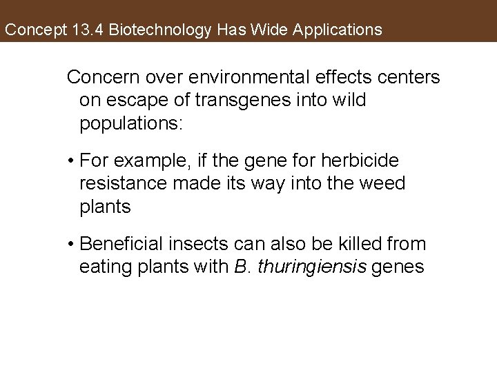 Concept 13. 4 Biotechnology Has Wide Applications Concern over environmental effects centers on escape