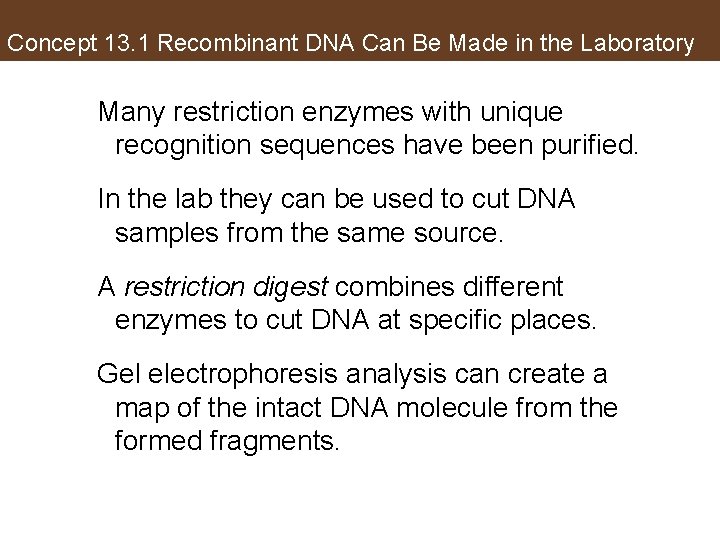Concept 13. 1 Recombinant DNA Can Be Made in the Laboratory Many restriction enzymes