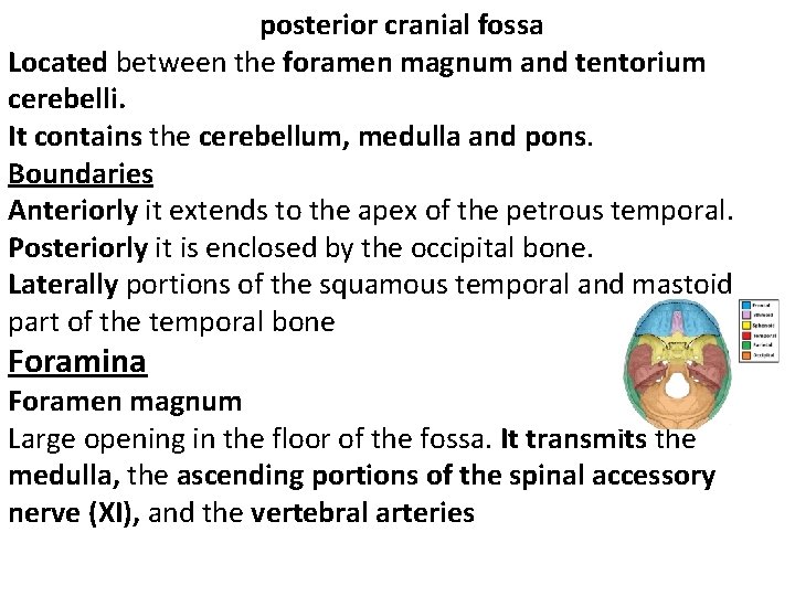 posterior cranial fossa Located between the foramen magnum and tentorium cerebelli. It contains the
