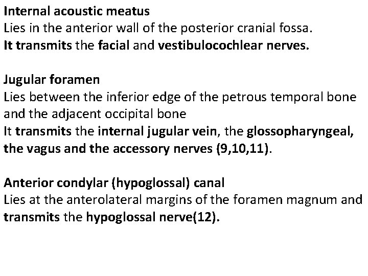 Internal acoustic meatus Lies in the anterior wall of the posterior cranial fossa. It