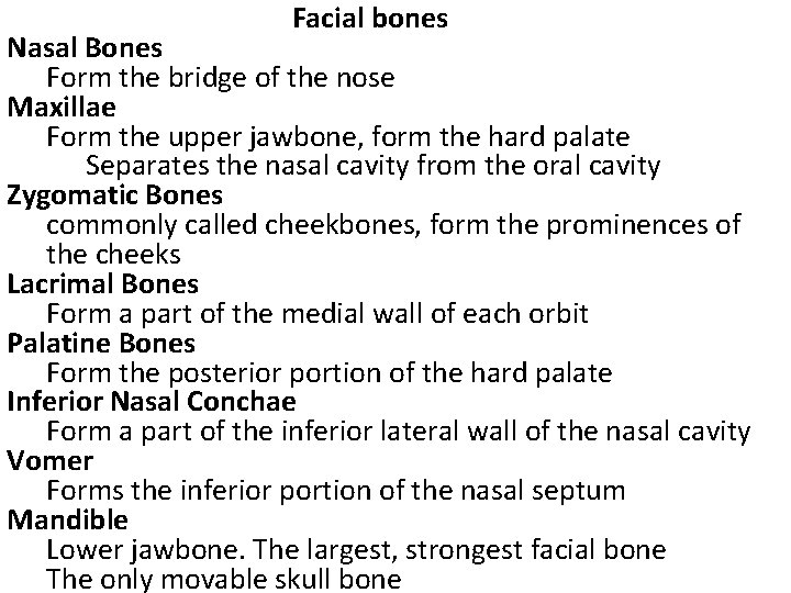 Facial bones Nasal Bones Form the bridge of the nose Maxillae Form the upper