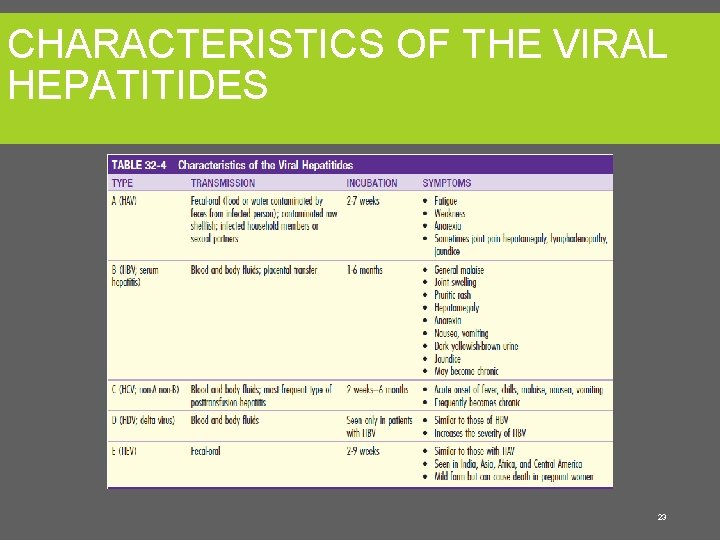 CHARACTERISTICS OF THE VIRAL HEPATITIDES 23 
