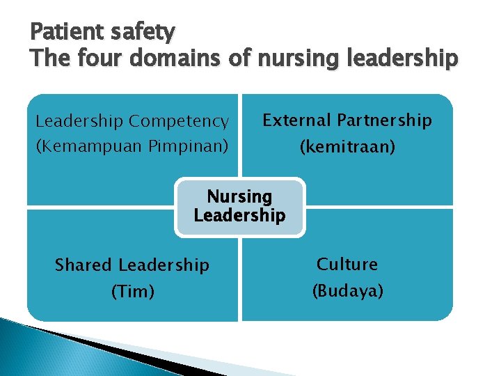 Patient safety The four domains of nursing leadership Leadership Competency (Kemampuan Pimpinan) External Partnership