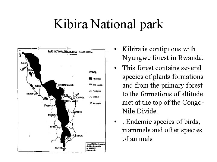 Kibira National park • Kibira is contiguous with Nyungwe forest in Rwanda. • This