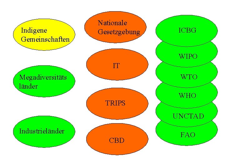 Indigene Gemeinschaften Nationale Gesetzgebung ICBG WIPO IT WTO Megadiversitäts länder TRIPS WHO UNCTAD Industrieländer